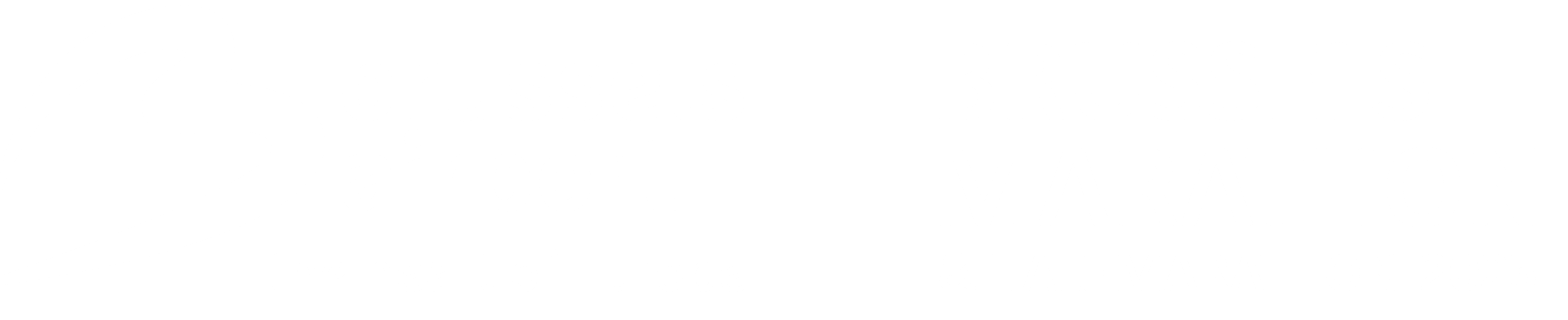 Brussels Marathon